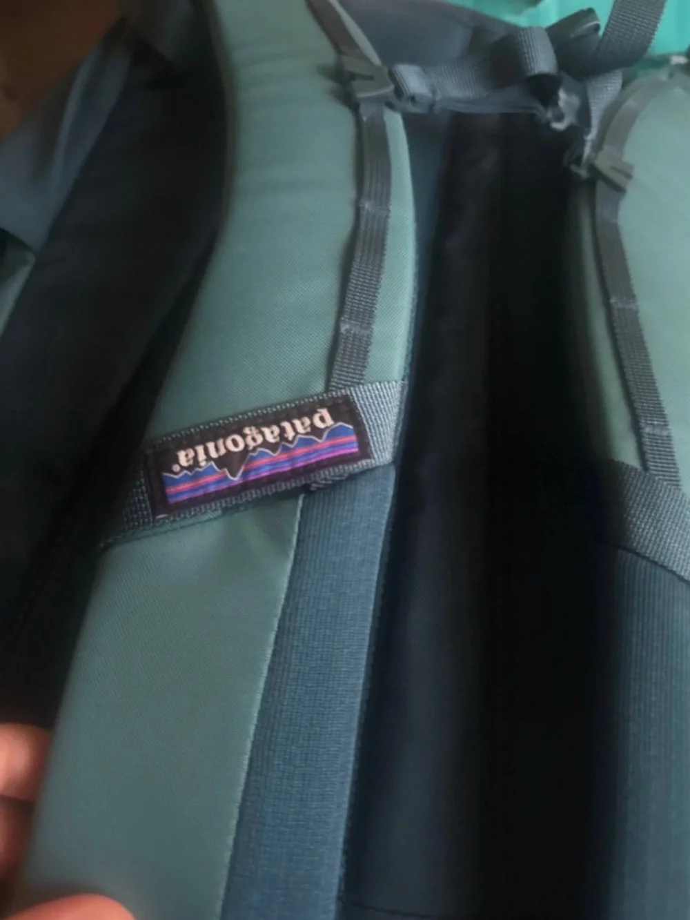 Patagonia Teal and Pink Men's Backpack with Yellow Logo Accent